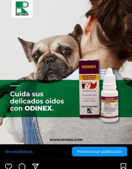 Reveex-Protfolio